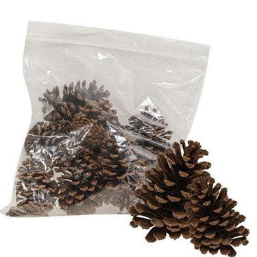 10 Bag Natural Ponderosa Pine Cones - The Fox Decor